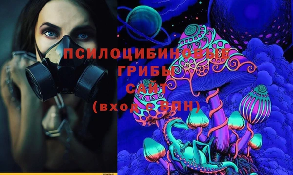 твердый Рославль