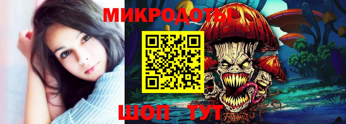 Псилоцибиновые грибы ЛСД Камышлов