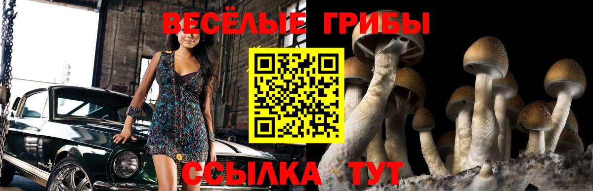 Камышлов  закладки  Вход с VPN  Галлюциногенные грибы мицелий 